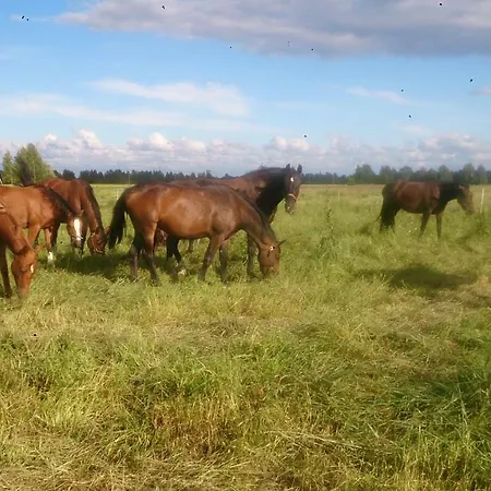 Lägenhet Pihatalo *